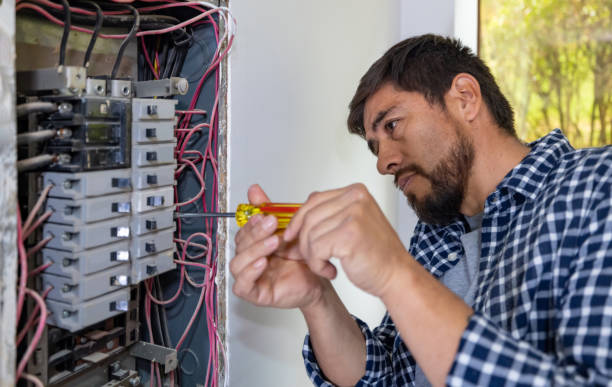 Best Electric Panel Repair  in Raven, VA